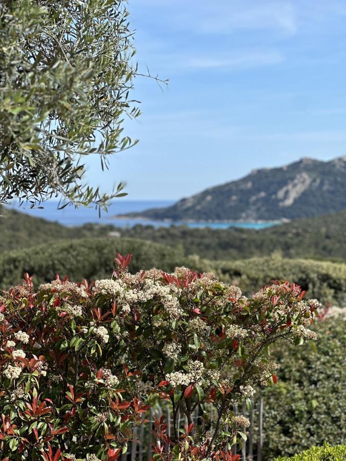 포르토베쉬오 Tres Belle Bergerie Avec Piscine Chauffee A 1 Km De Santa Giulia 빌라 외부 사진